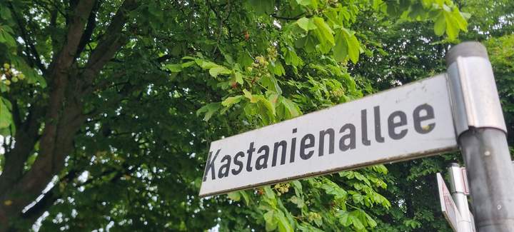 Straßenschild Kastanienallee Seppenrade