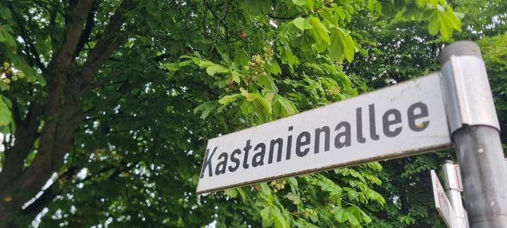 Straßenschild Kastanienallee Seppenrade