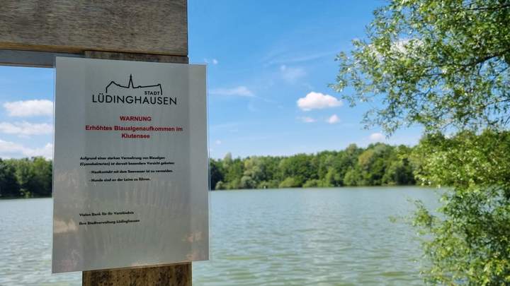 An den Zuwegungen zum Klutensee weisen diese Hinweisschilder auf die Blaualgen im Wasser hin.
