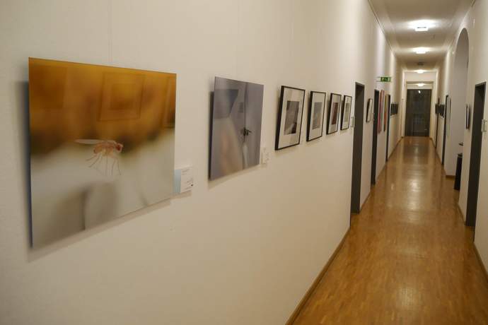 Kunst im Rathaus Ausstellung Markus Albrecht und Frank Vogt